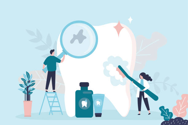 Best Preventive Dentistry  in Kamas, UT